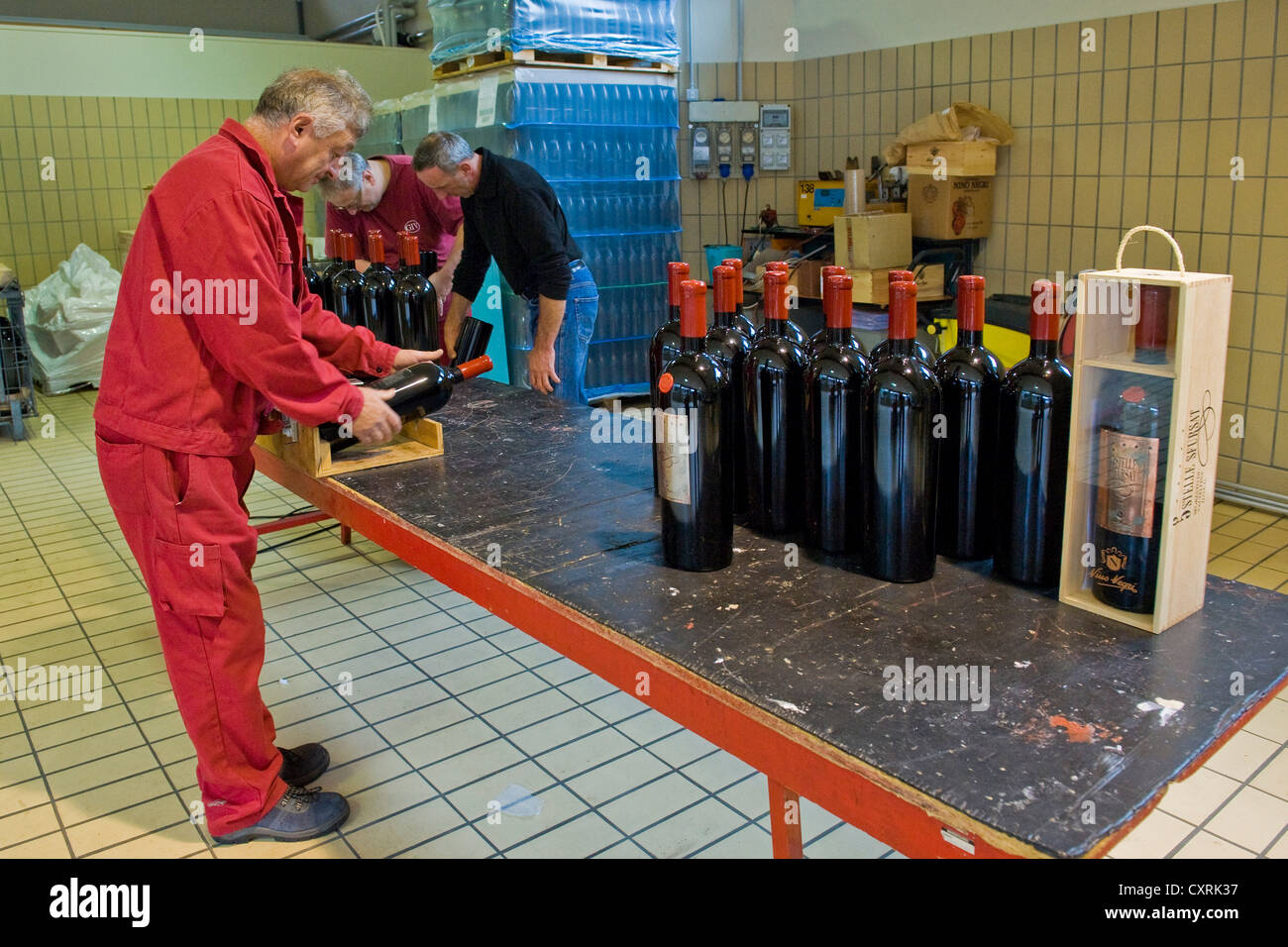 L'Italie, la Lombardie, la Valtellina, Chiuro, Casa Vinicola Nino Negri, Nino Negri vinery Banque D'Images