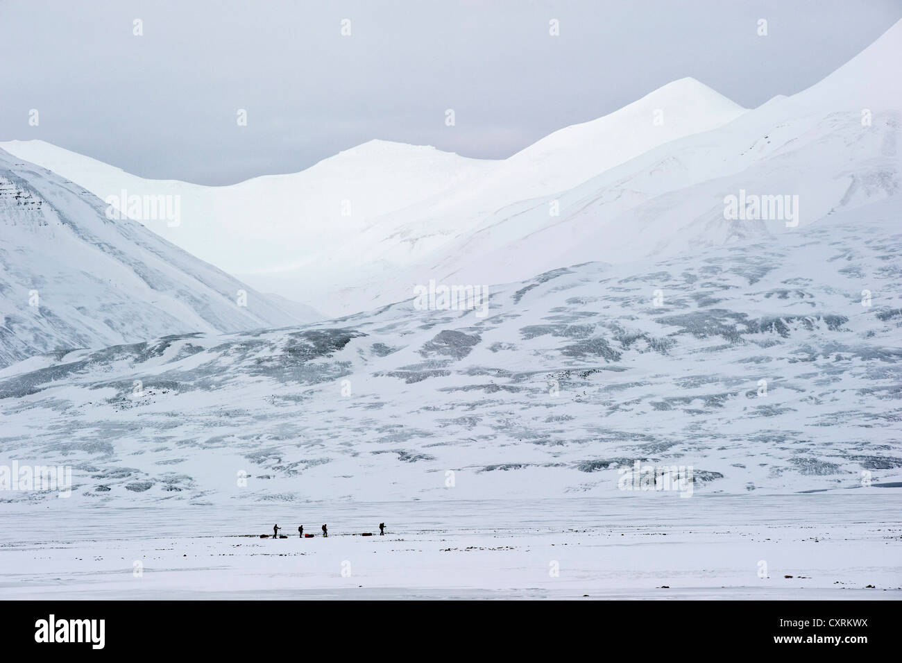 Skieurs de fond avec Pulkas en face des montagnes de l'Adventdalen, Longyearbyen, Spitsbergen, Svalbard, Norvège, Europe Banque D'Images