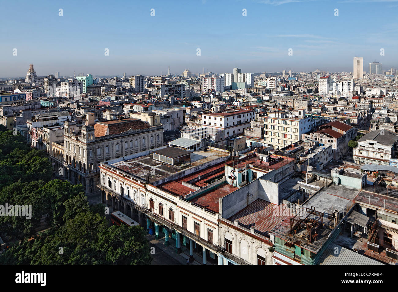 Prado, Paseo de Marti, boulevard bordé d'arbres, vue panoramique sur les toits de La Havane, Villa San Cristobal de La Habana Banque D'Images