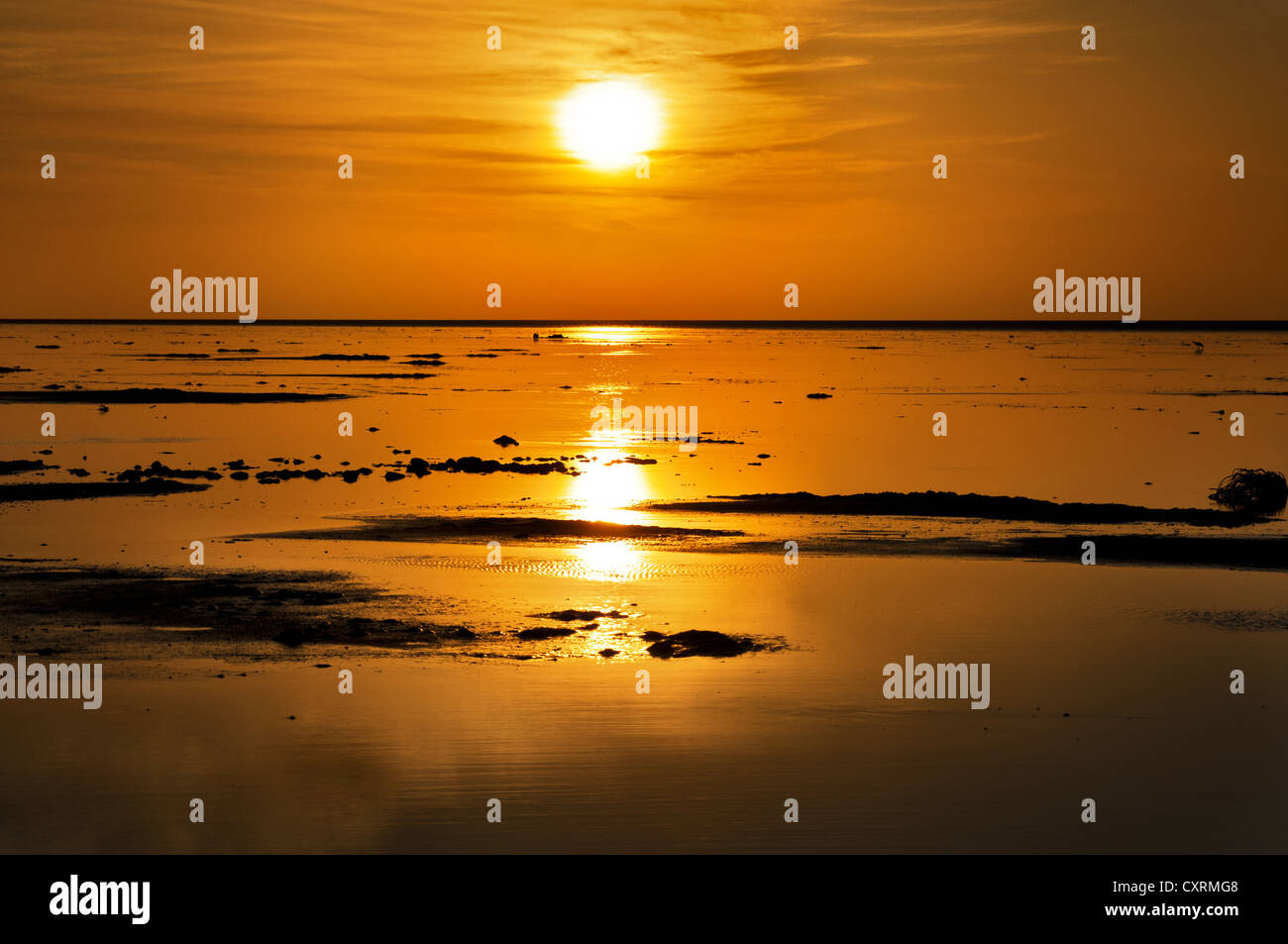 Lever de soleil sur un lac Eyre rarement inondé. Banque D'Images