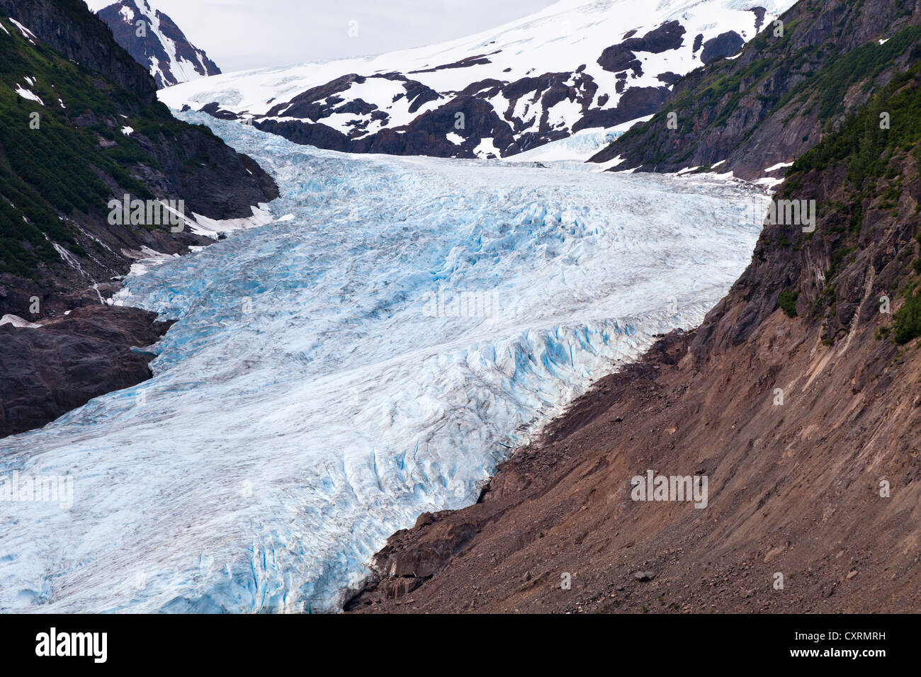 À Bear Glacier BC Canada Banque D'Images