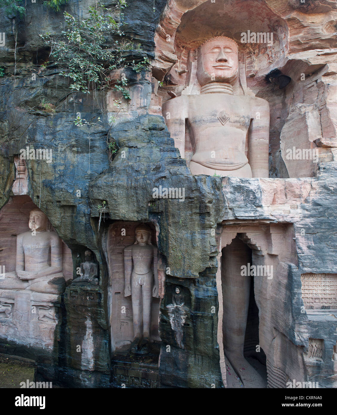 Statues monolithiques en coupe rock, Jain Tirthankaras ou Thirthankaras, Gwalior, Madhya Pradesh, Inde, Asie Banque D'Images