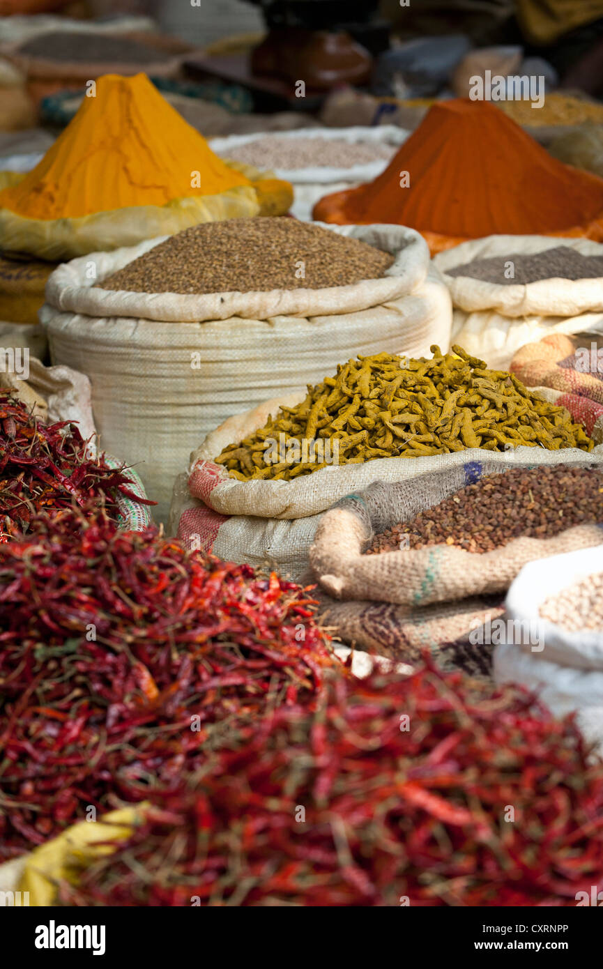 Piments, épices, bazar près de Howrah Bridge, Calcutta ou Kolkata, Bengale occidental, est de l'Inde, l'Inde, l'Asie Banque D'Images
