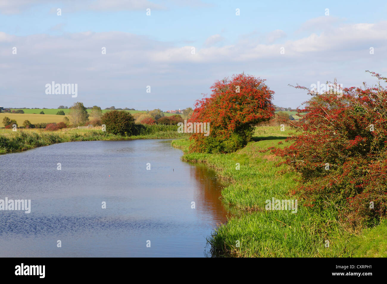 Scène automne rivière East Sussex England UK GO Banque D'Images