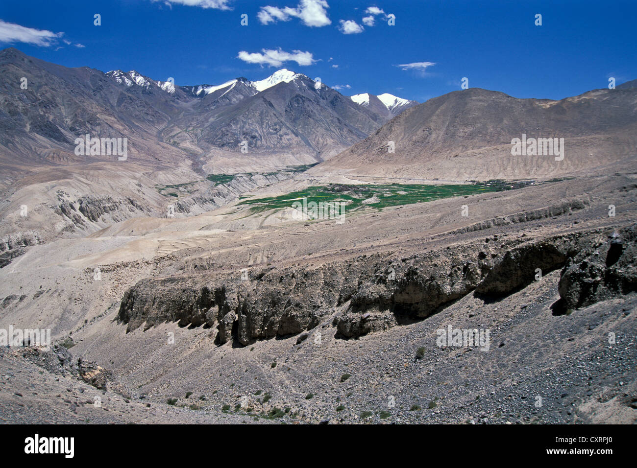 Champs, des pics de montagne, la Vallée de Nubra, Ladakh, Himalaya indien, le Jammu-et-Cachemire, l'Inde du Nord, Inde, Asie Banque D'Images