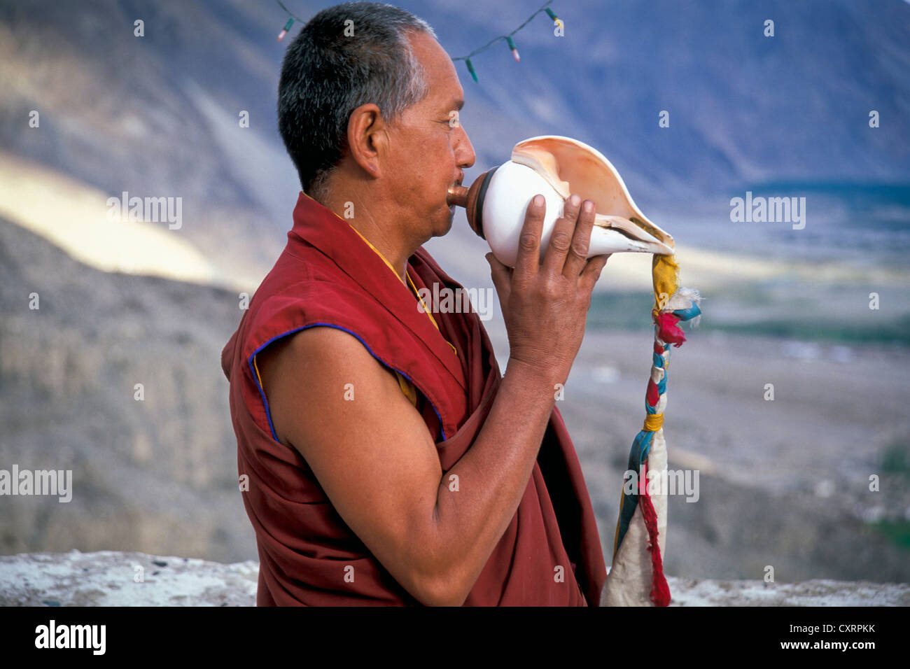 Monk soufflant une coquille de conque, Deskit ou monastère Diskit, Gompa, Dogs, La Vallée de Nubra, Ladakh, Himalaya indien, le Jammu-et-Cachemire Banque D'Images