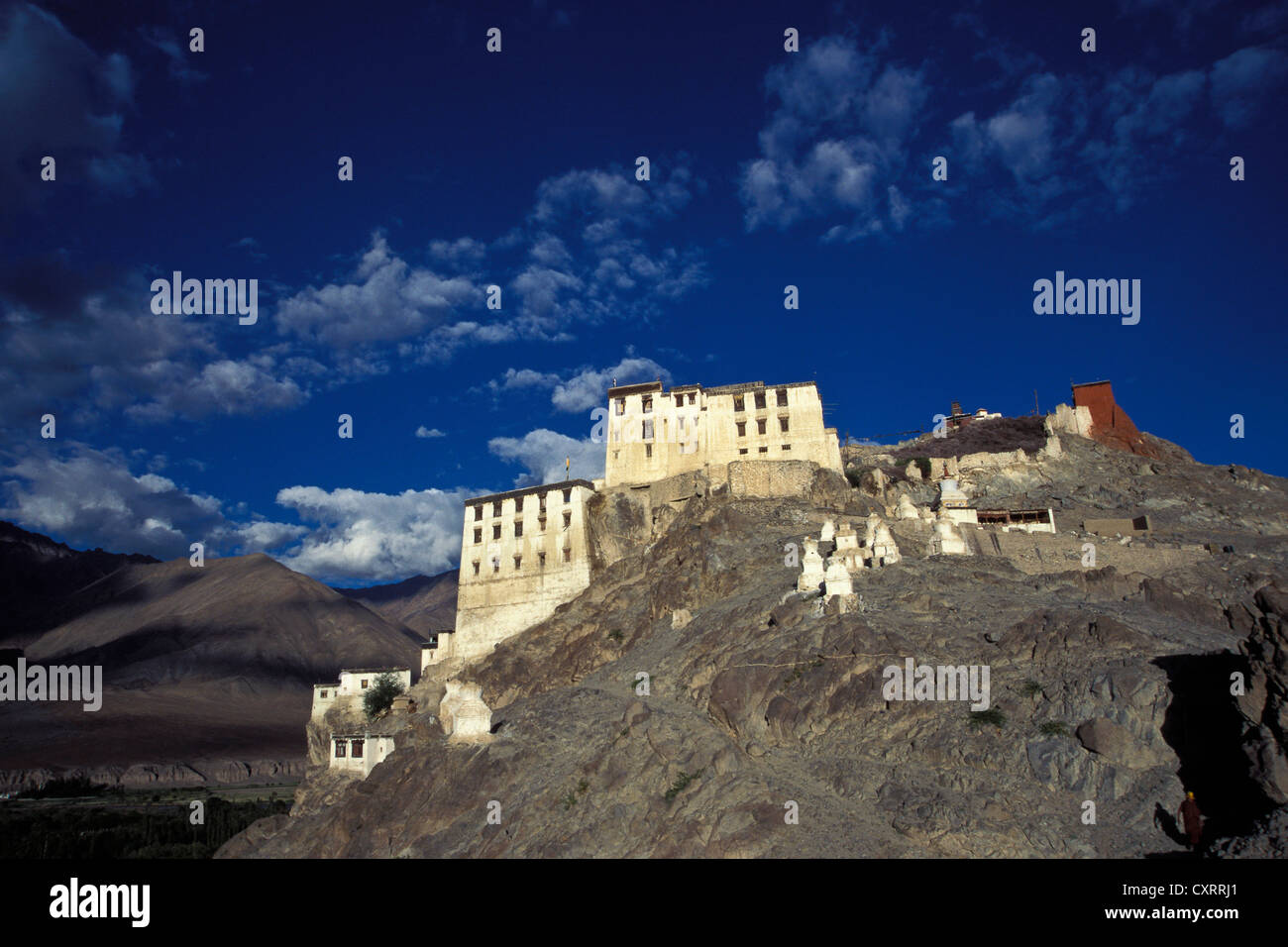 Monastère de Spituk, Gompa, Ladakh, Himalaya indien, le Jammu-et-Cachemire, l'Inde du Nord, Inde, Asie Banque D'Images