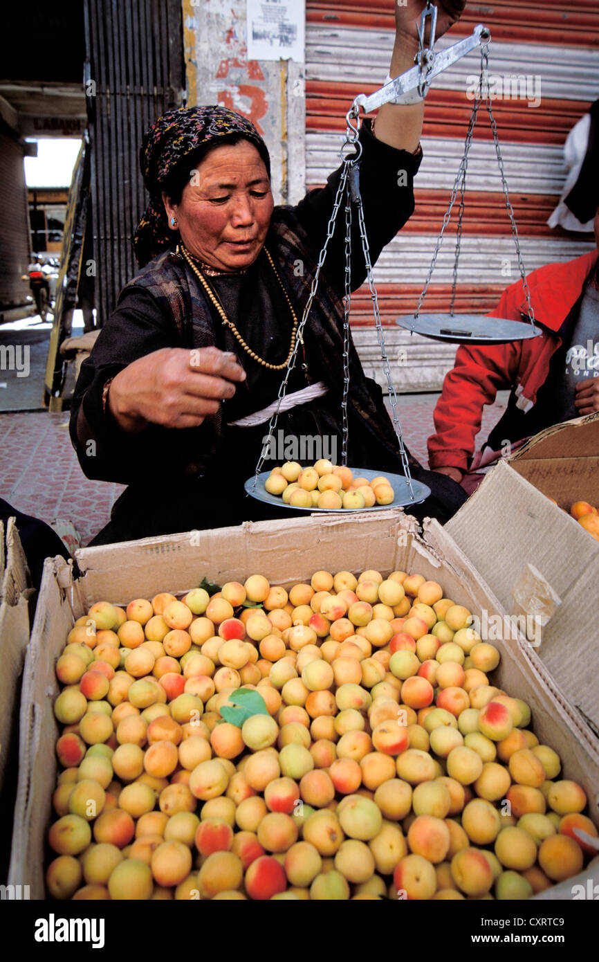 Femme avec échelles ladakhis manuel pesage abricots, marché, Leh, Jammu-et-Cachemire, Himalaya indien, l'Inde du Nord, Inde, Asie Banque D'Images