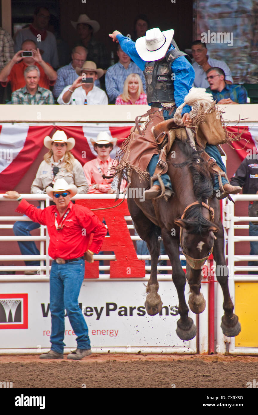 Le Stampede de Calgary 2012, 100e anniversaire, la compétition annuelle de la monte à cheval Banque D'Images