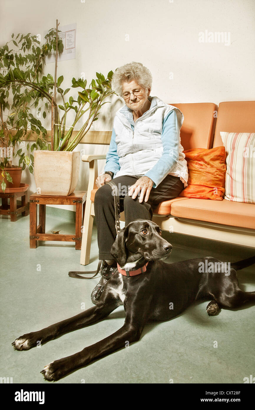 Vieille Femme avec un chien de thérapie dans une maison de soins infirmiers Banque D'Images