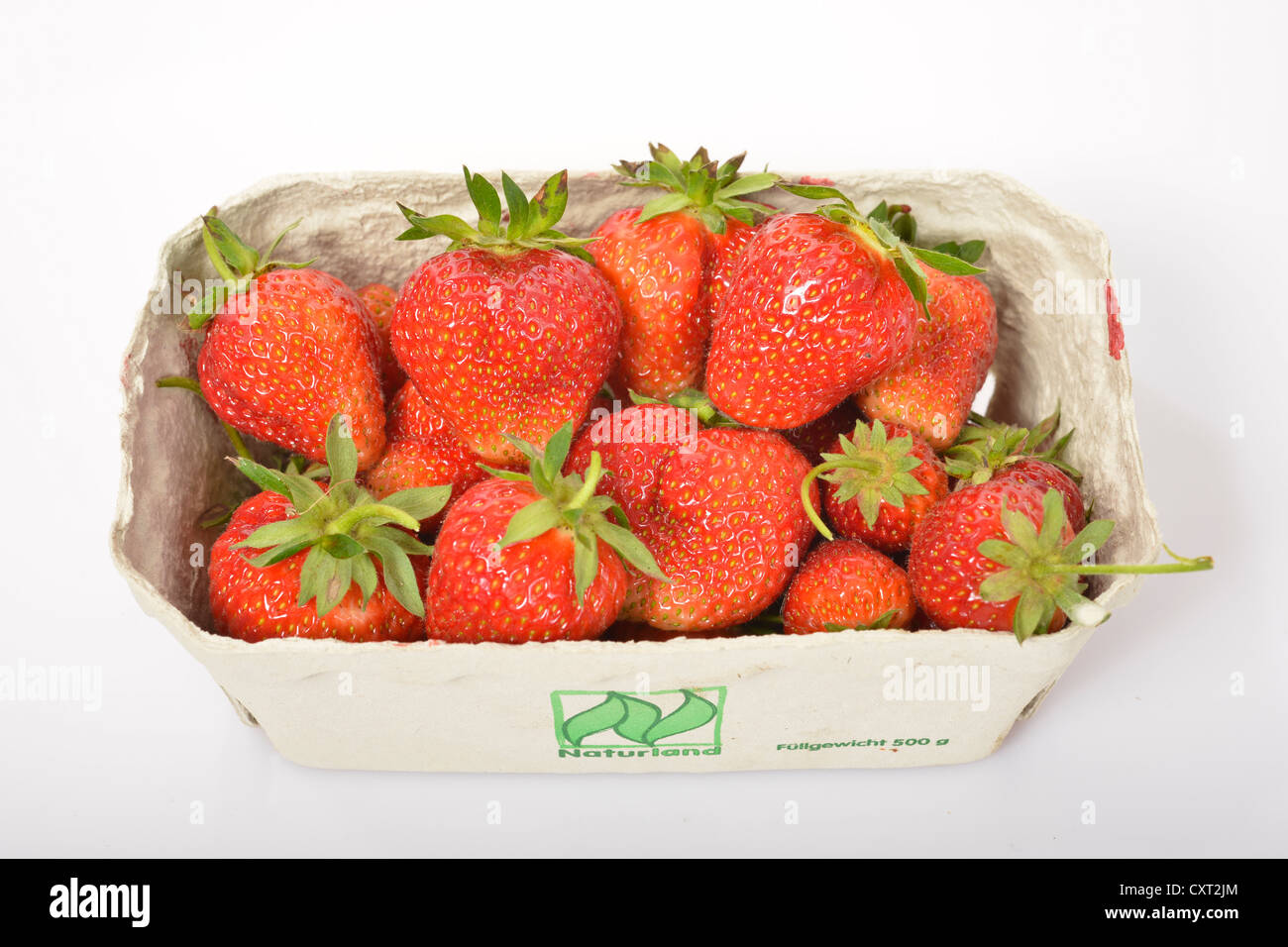Fraises de Naturland agriculture biologique dans un magasin papier Banque D'Images