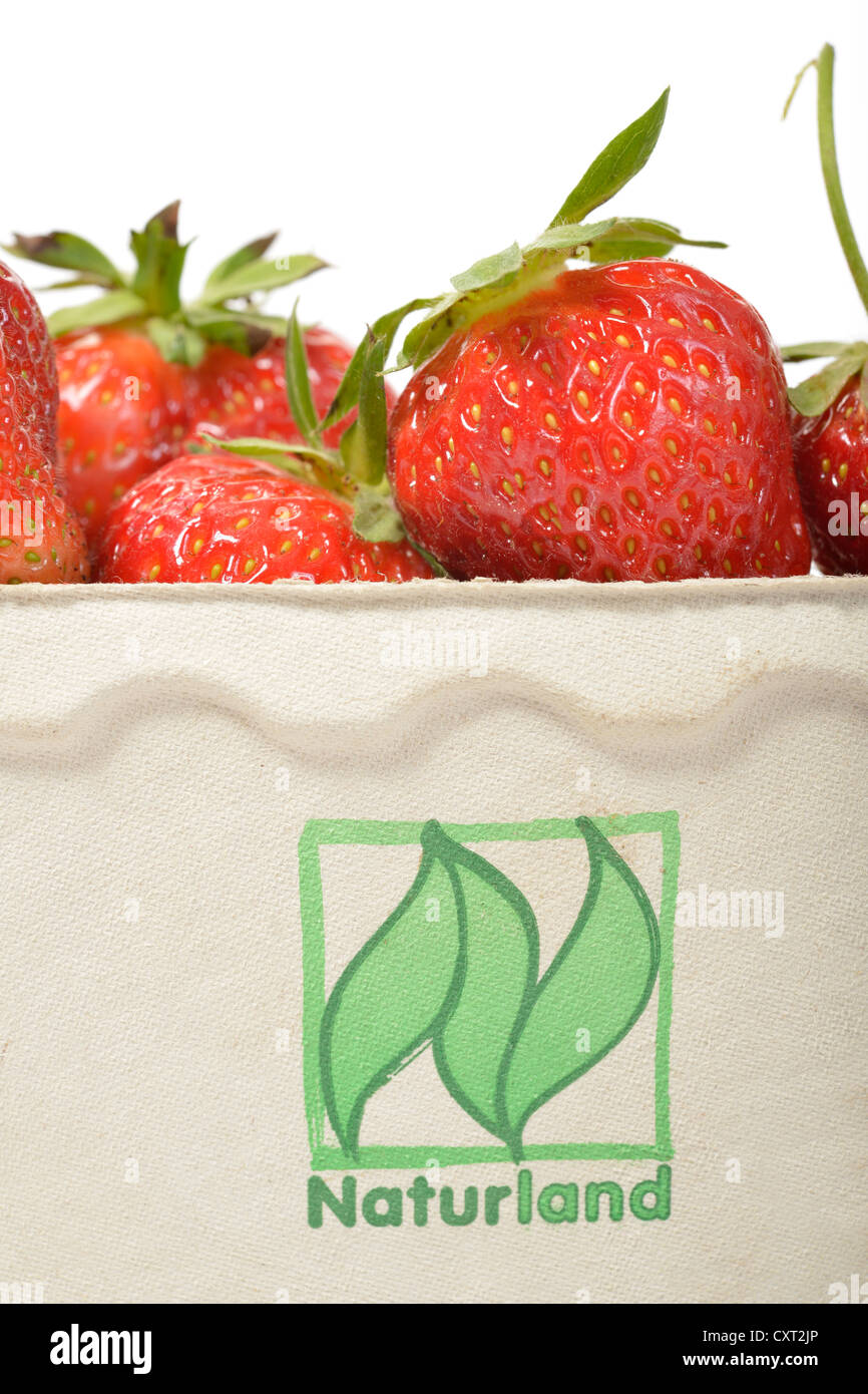 Fraises de Naturland agriculture biologique dans un magasin papier Banque D'Images