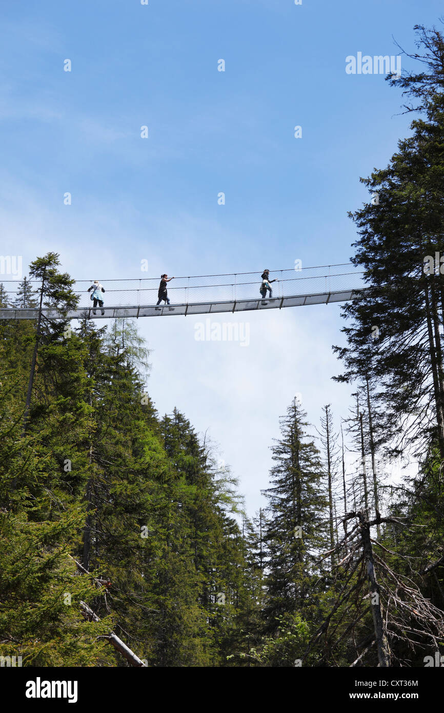 Suspension Bridge à travers le Riesachfall Alpinsteig Hoell, cascade, sentier de randonnée, le parc naturel Naturpark Soelktaeler Banque D'Images