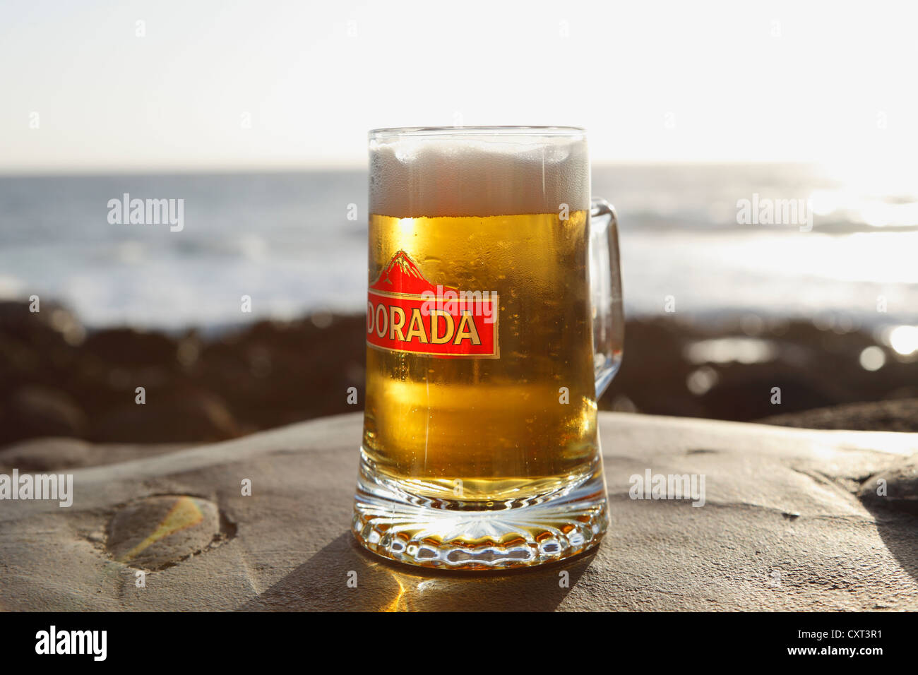 Dorada verre de bière, La Palma, Canary Islands, Spain, Europe Banque D'Images