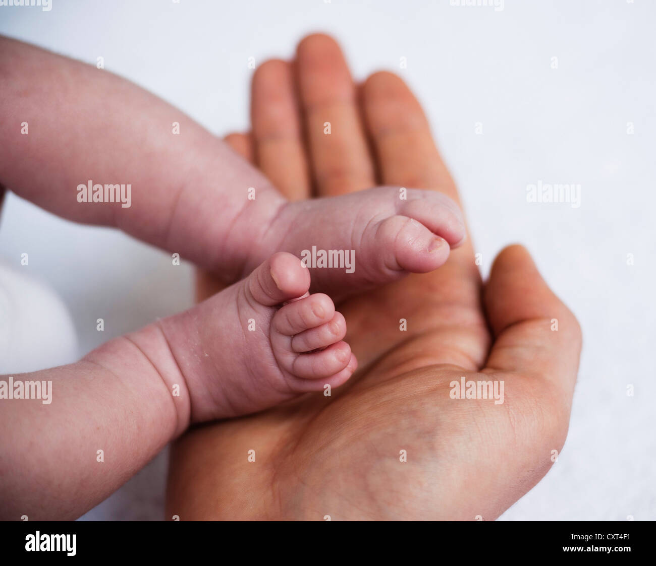 Père tenant les pieds d'un bébé nouveau-né dans ses mains Banque D'Images