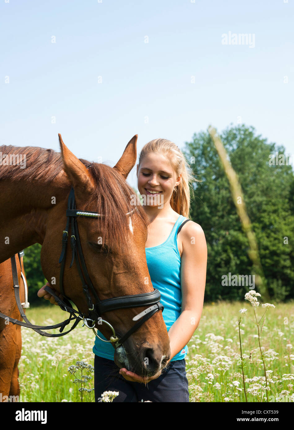 Alimentation fille son cheval durant une randonnée Banque D'Images