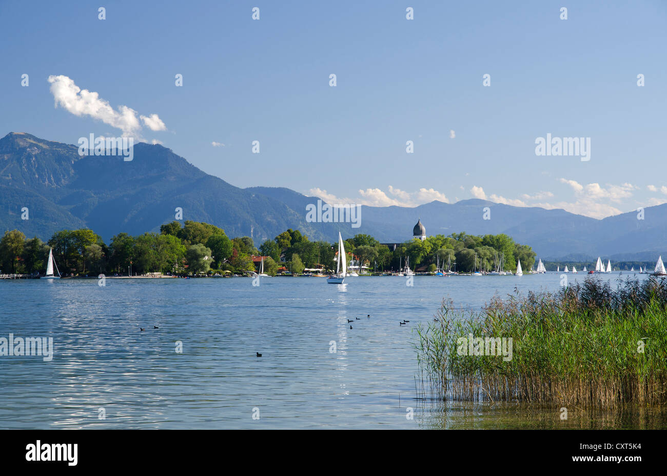 Bateaux à voile sur le lac de Chiemsee, Gstadt, Fraueninsel, Lady's Island, Haute-Bavière, Bavière Banque D'Images