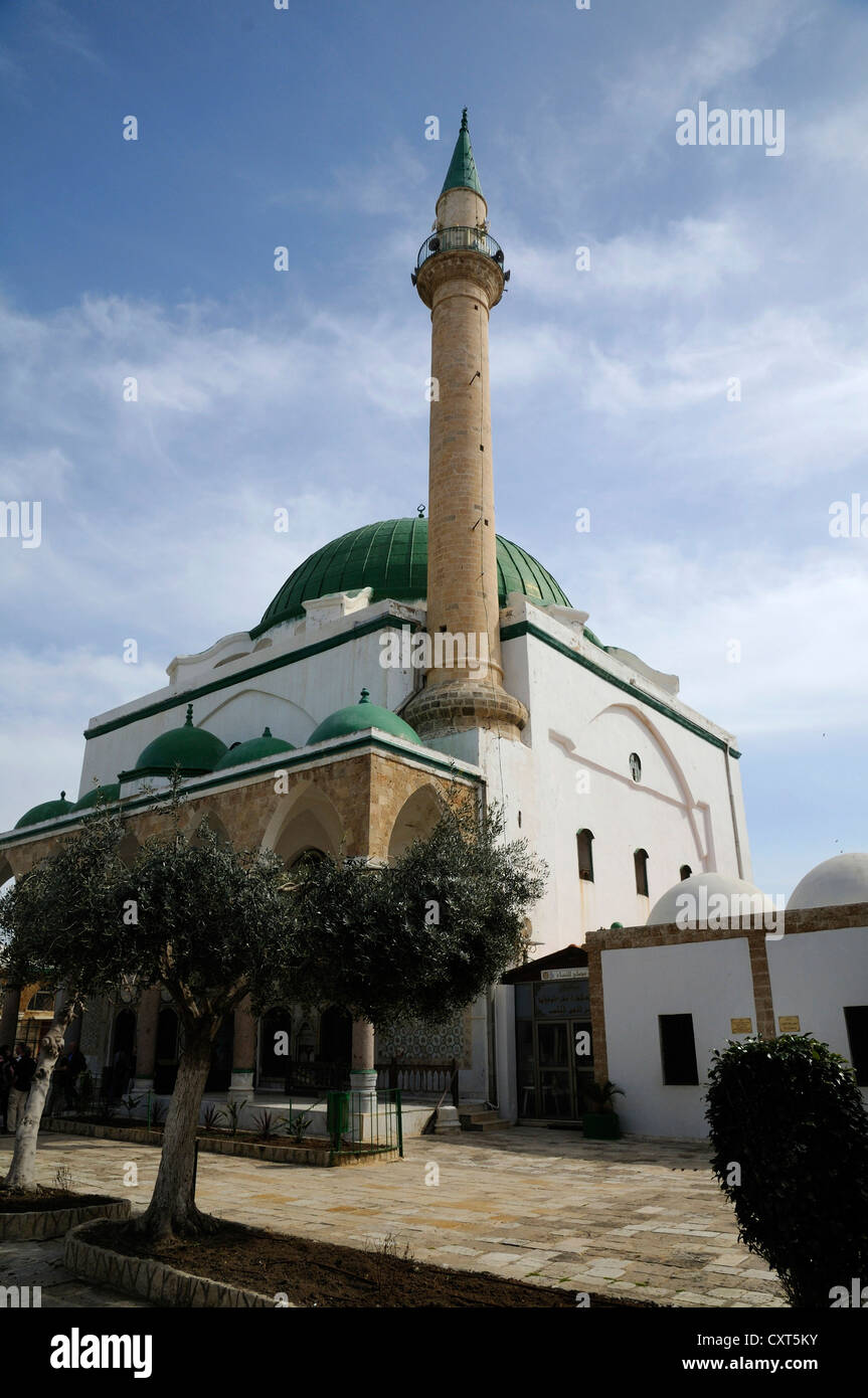 Mosquée, Akko, Acre, Israël, Moyen Orient Banque D'Images