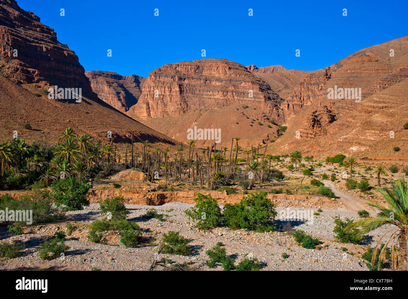 Paysage typique de montagne avec des palmiers dans un lit de rivière à sec dans la vallée Ait Mansour, Anti-Atlas, le sud du Maroc Banque D'Images