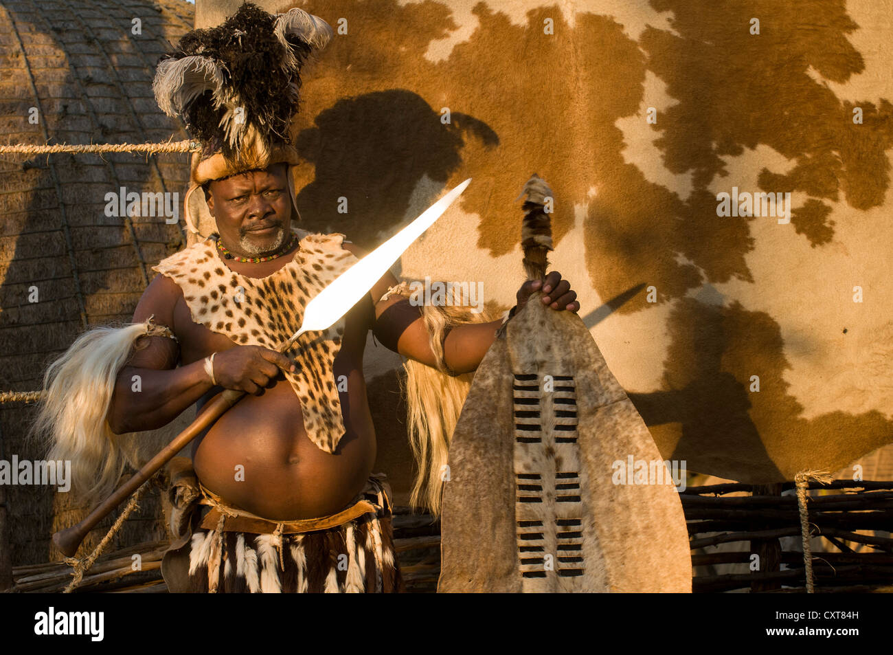 Guerrier zoulou en costume traditionnel, l'ensemble de film Shakazulu, Shakaland, KwaZulu-Natal, Afrique du Sud, l'Afrique Banque D'Images