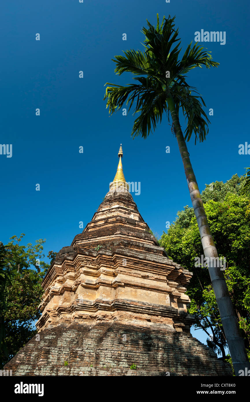 Chedi ou pagode, Wat Umong Maha Thera Chan, Chiang Mai, Thaïlande du Nord, Thaïlande, Asie Banque D'Images