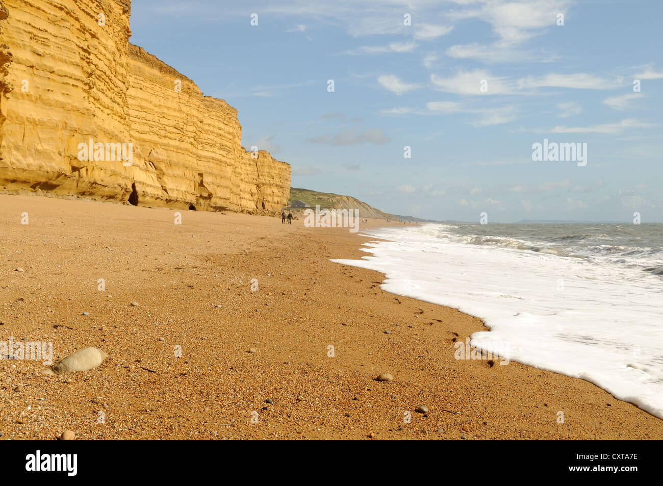 Plage Côte Jurassique bouton Burton Bradstock Dorset Angleterre Banque D'Images