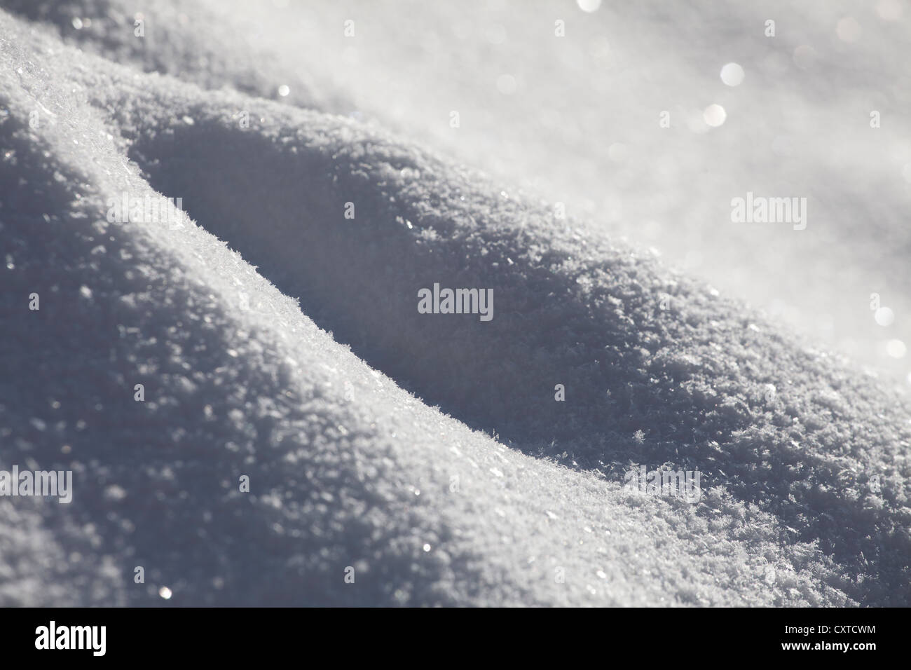 Flocons de neige résumé fond, texture blanche granuleuse Banque D'Images