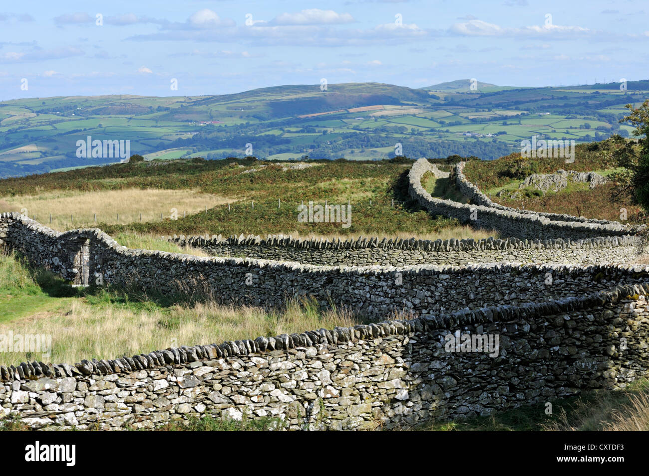 Les murs en pierre de l'église St Celynin, Parc National de Snowdonia, Conwy, Nord du Pays de Galles Banque D'Images