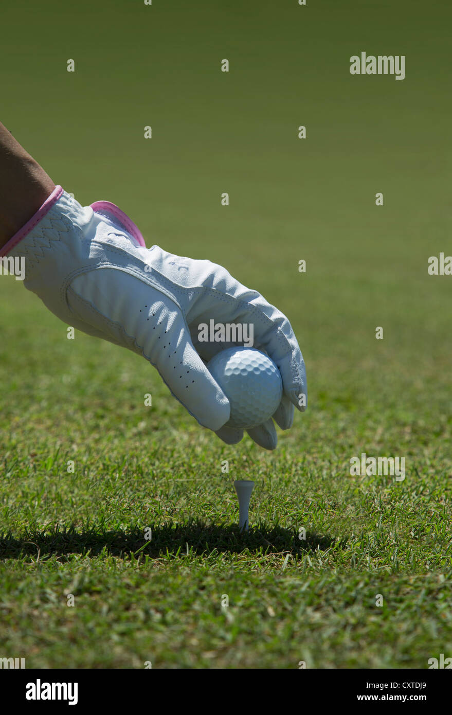 Main gantée plaçant balle de golf sur tee Banque D'Images