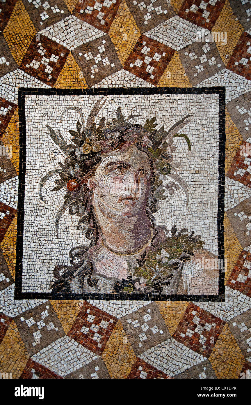 Partie d'un sol en mosaïque Villa Daphne à près d'Antioche Antakya Turquie 2ème siècle A.D. Roman de pierres naturelles, verre 226 X 251 cm Banque D'Images