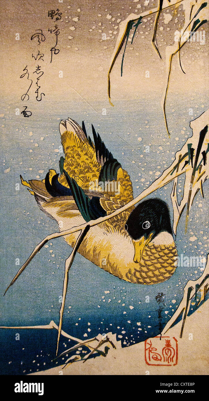 Imprimé sur bois ukiyo-e de la période Edo intitulé « canard colvert et roseaux enneigés » (également connu sous le nom de « Settei Ashi ni Kamo ») créé par le légendaire 19e siècle Banque D'Images