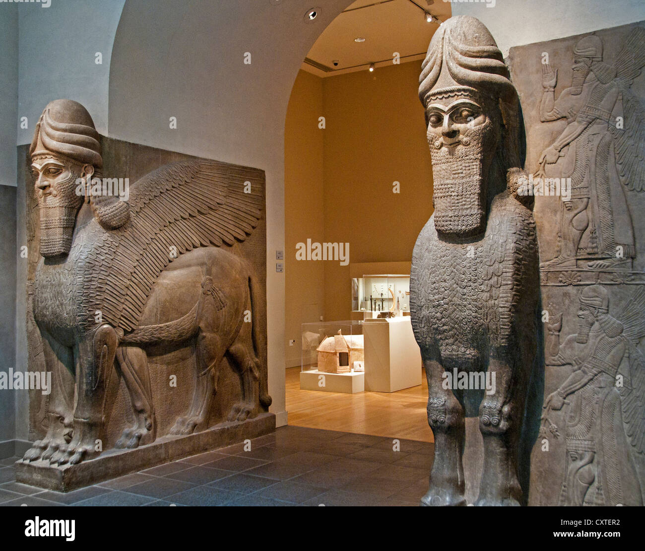 Statue lion ailé visage humain du Palais Royal d'Assurnazirpal II Nimrud 883-859 av. J.-C. en Mésopotamie Iraq Kalhu Assyrie Banque D'Images