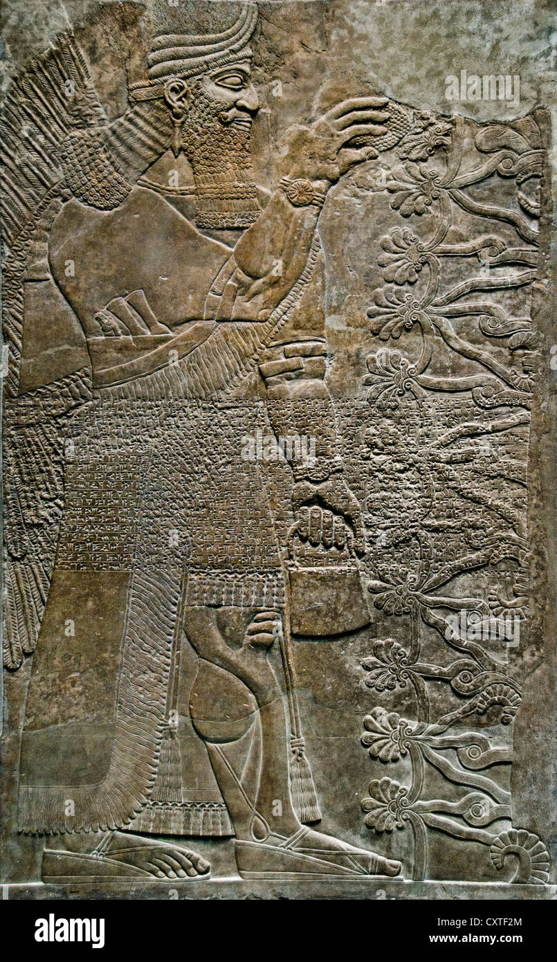 Le nord-ouest du Palais Royal d'Assurnazirpal II Nimrud 883-859 av. J.-C. en Mésopotamie Iraq ( Kalhu Musée assyrien Assyrie ) Banque D'Images