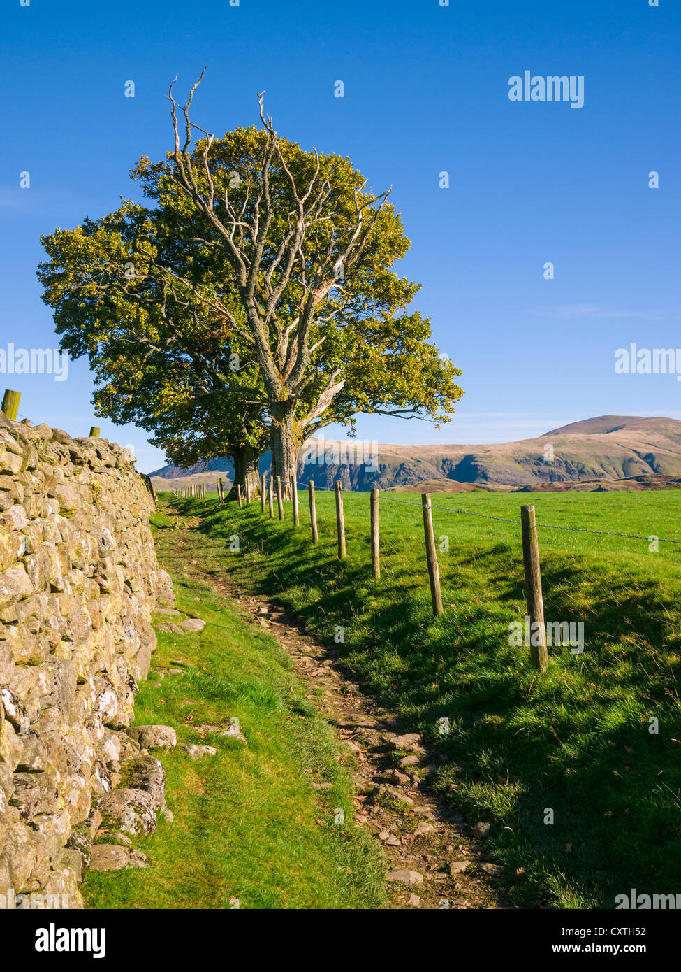 Sentier de Castlerigg dans le parc national de Lake District, Cumbriam, Angleterre. Banque D'Images