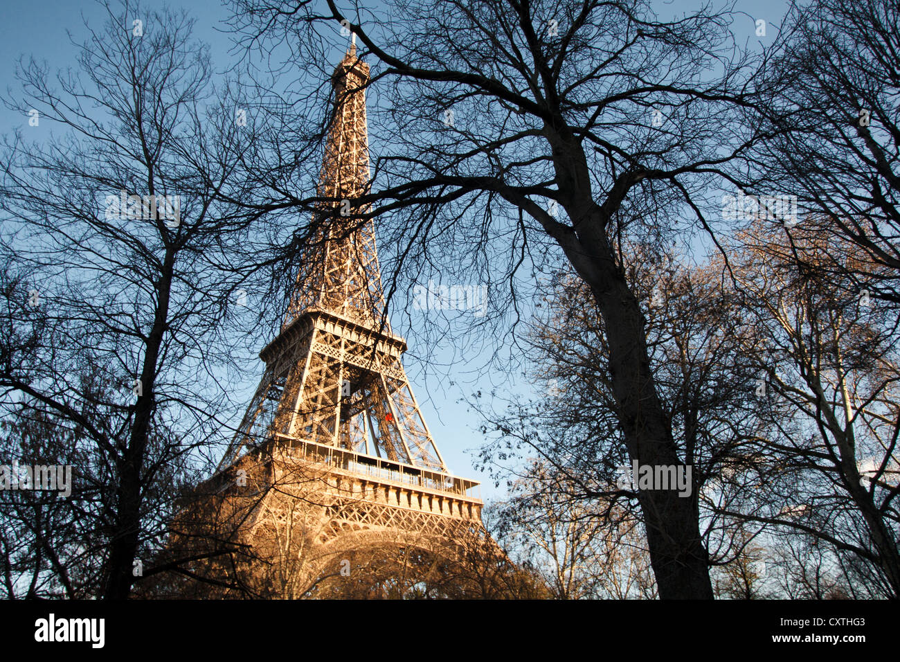 Vue de la Tour Eiffel à travers les arbres. Paris, France Banque D'Images