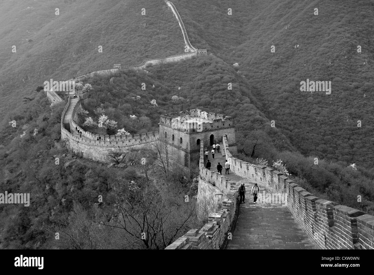 Image en noir et blanc de la section de Mutianyu de la Grande Muraille de Chine, Beijing, vallée de Mutianyu Provence, Chine, Asie. Banque D'Images