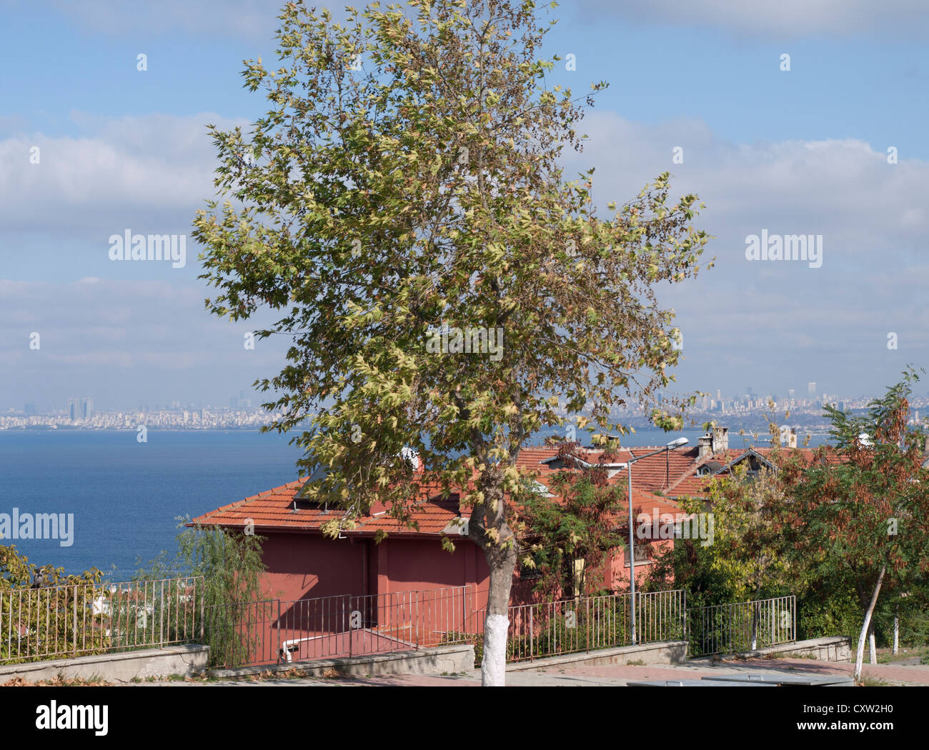 Vue depuis une colline sur l'un des princes Büyükada îles en mer de Marmara, Skyline d'Istanbul dans l'arrière-plan Banque D'Images
