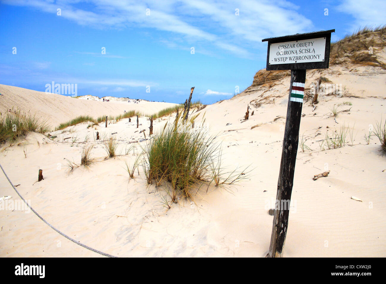 Déplacement des dunes du Parc National Slowinski en Pologne Banque D'Images