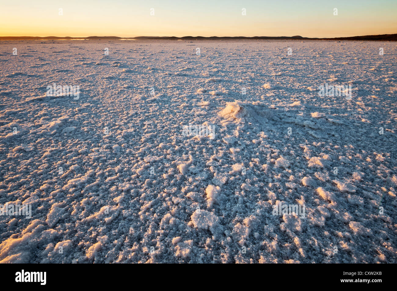 Flocons de sel lac couvert dans la première Gairdner lumière de la journée. Banque D'Images