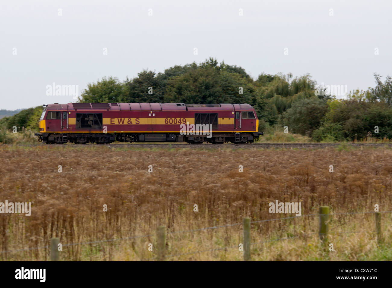 Le train de marchandises de l'EWS Banque D'Images