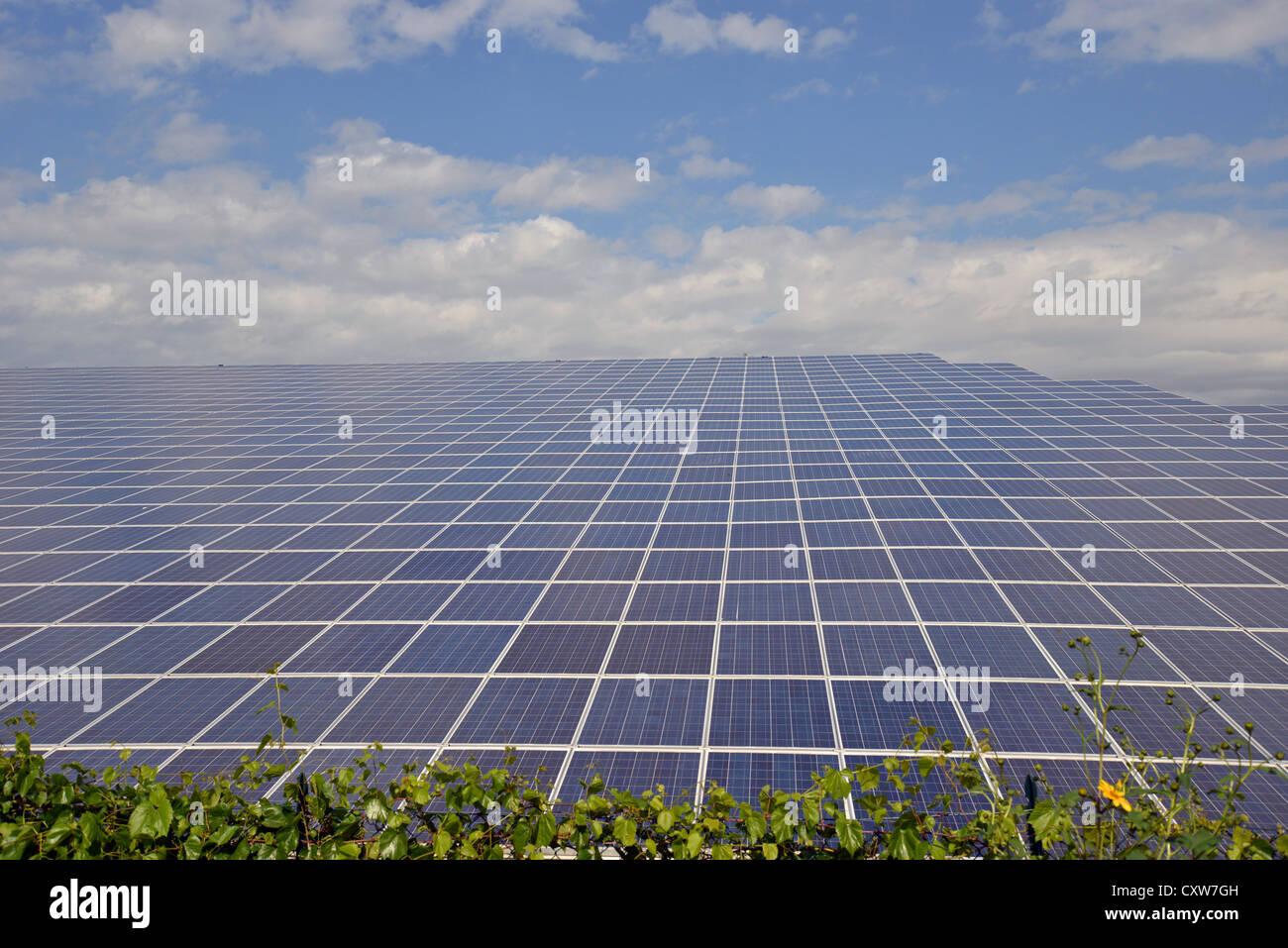 Centrale solaire photovoltaïque, près de Vérone, Vénétie, province de Vérone, Italie Banque D'Images