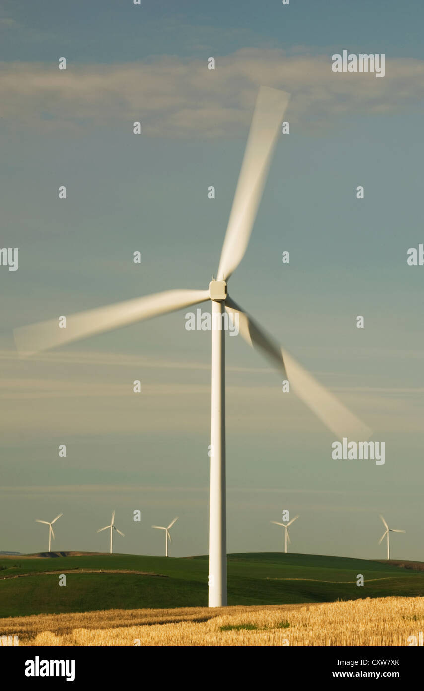 Générateurs du vent, Hopkins Ridge Wind Farm, près de Pomeroy, Washington Banque D'Images