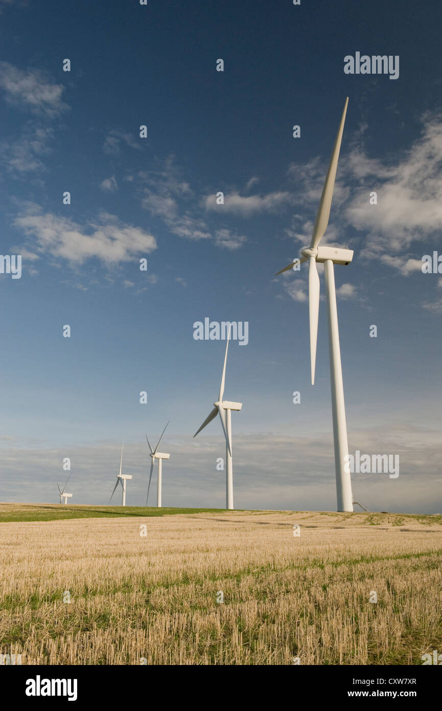 Générateurs du vent, Hopkins Ridge Wind Farm, près de Pomeroy, l'Est de Washington Banque D'Images