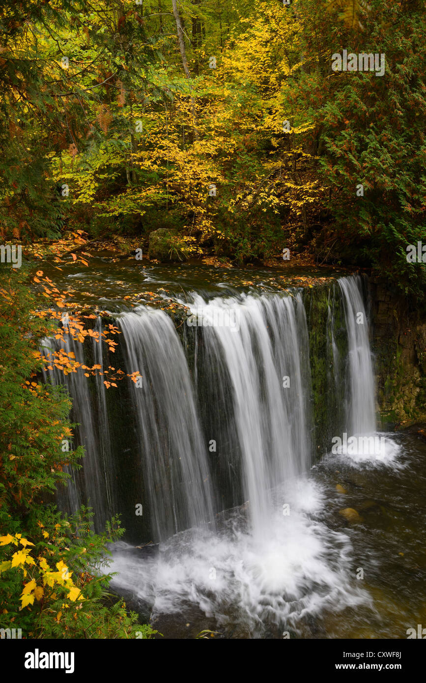 Tombe sur le hoggs la rivière Boyne, dans le comté de Grey de l'Ontario partie de l'escarpement du Niagara avec couleur d'automne jaune Banque D'Images