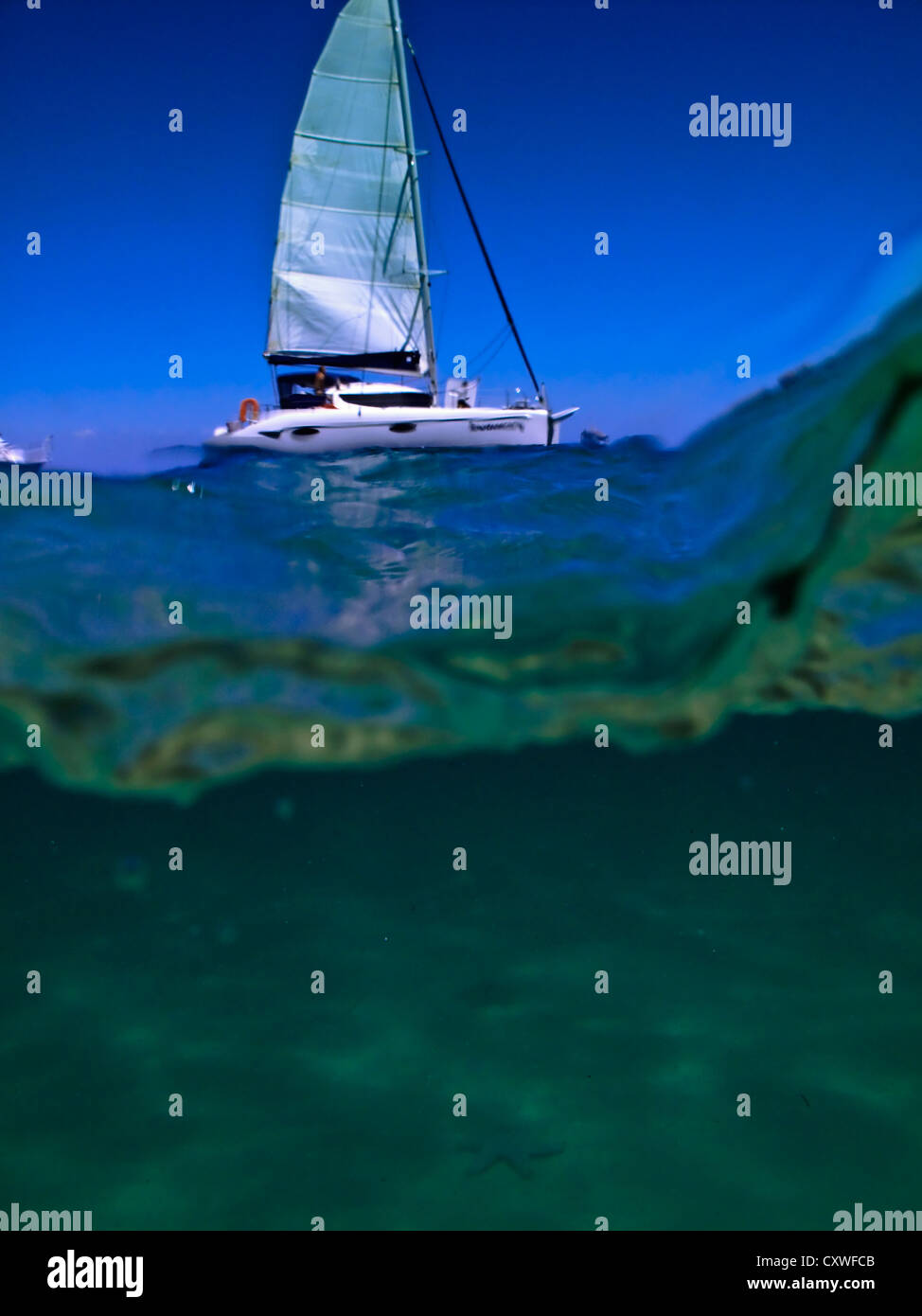 Catamaran près de moreton island australie photographié par diver de niveau d'eau comme les approches de l'onde Banque D'Images