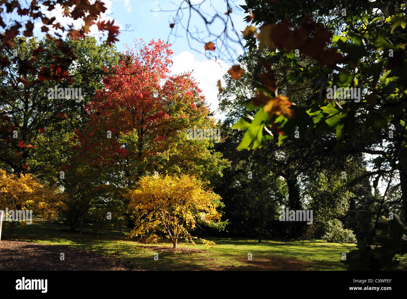 Wakehurst Place Sussex UK 14 octobre 2012 - soleil d'automne fait ressortir les couleurs et les visiteurs de Wakehurst Place dans le Kent. Banque D'Images