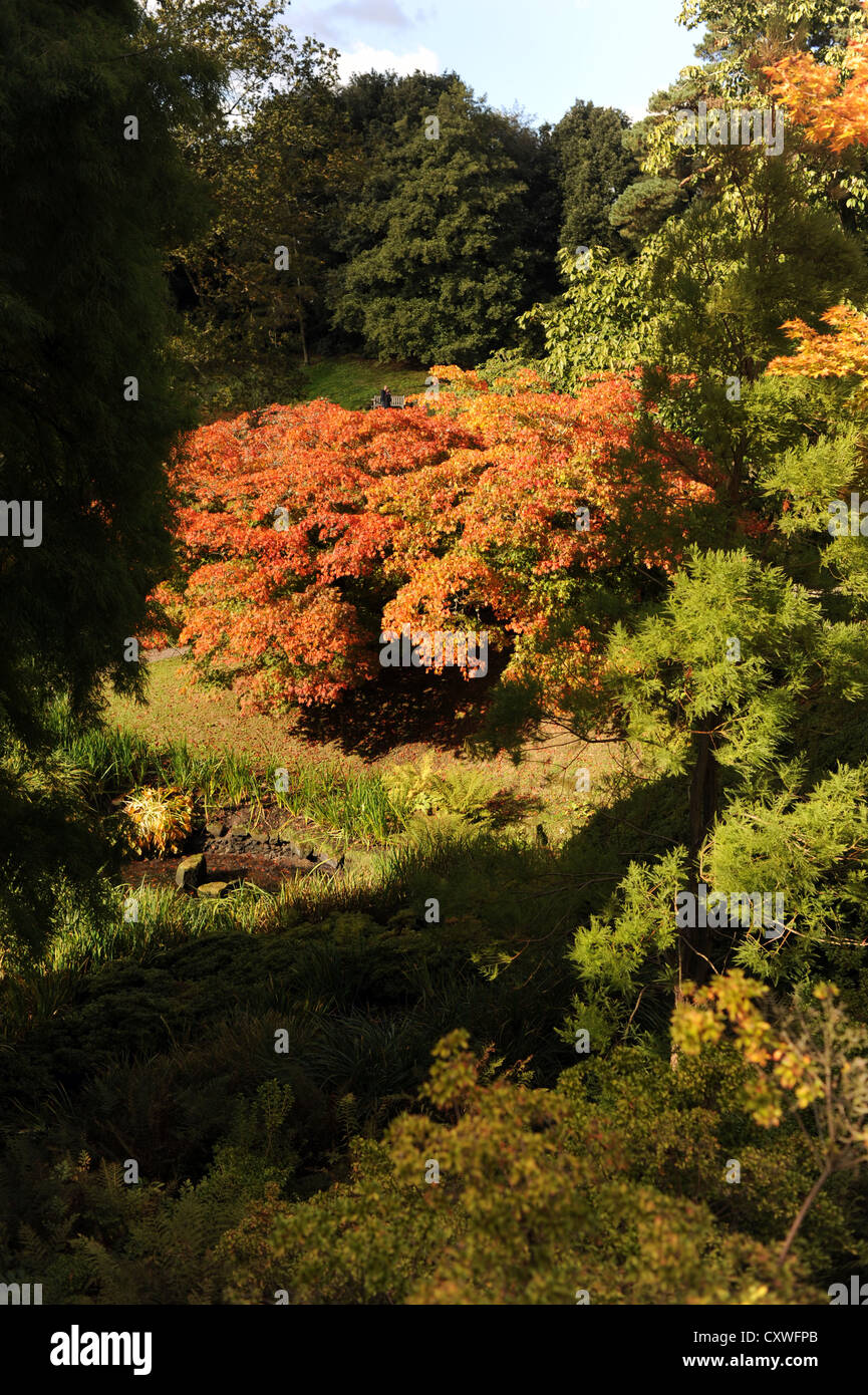 Wakehurst Place Sussex UK 14 octobre 2012 - soleil d'automne fait ressortir les couleurs et les visiteurs de Wakehurst Place dans le Kent. Banque D'Images