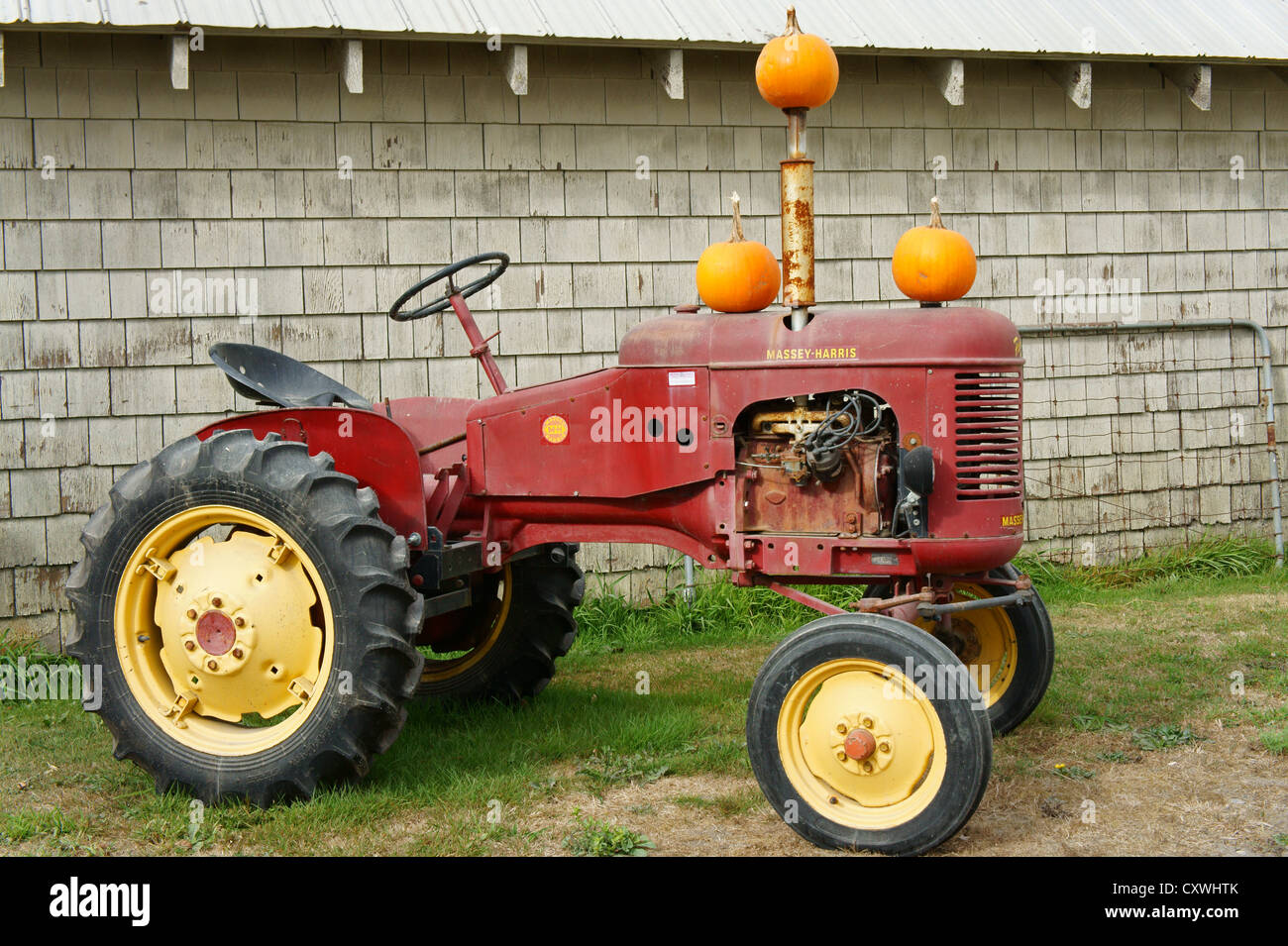 Vieux tracteur Massey Harris décorées de citrouilles dans une ferme de Delta, Ladner, British Columbia, Canada Banque D'Images