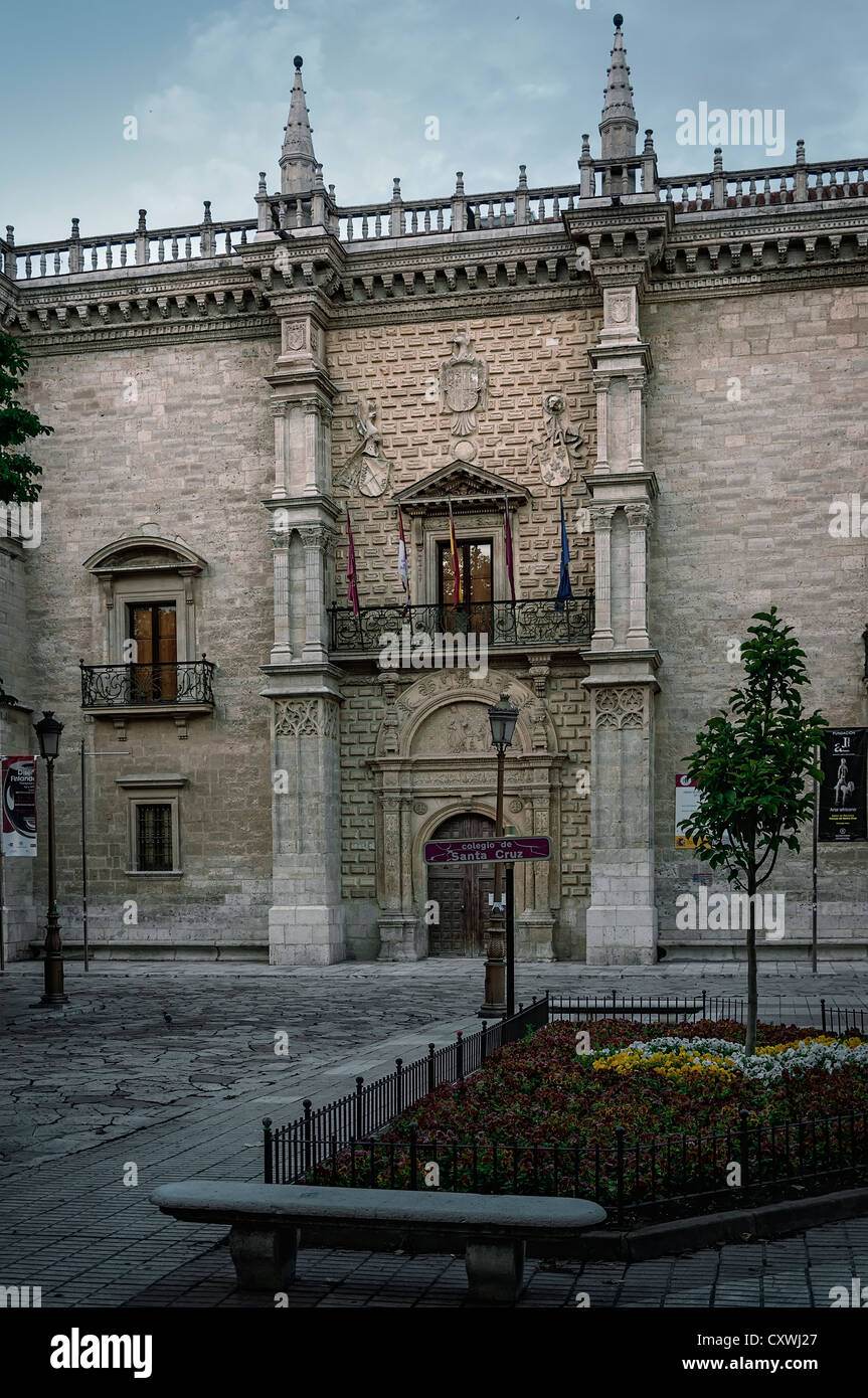 Façade du Palais de Santa Cruz inaugurée dans le 15e siècle comme Colegio Mayor de la ville de Valladolid. Première exposition d'art de la Renaissance en Espagne. Banque D'Images