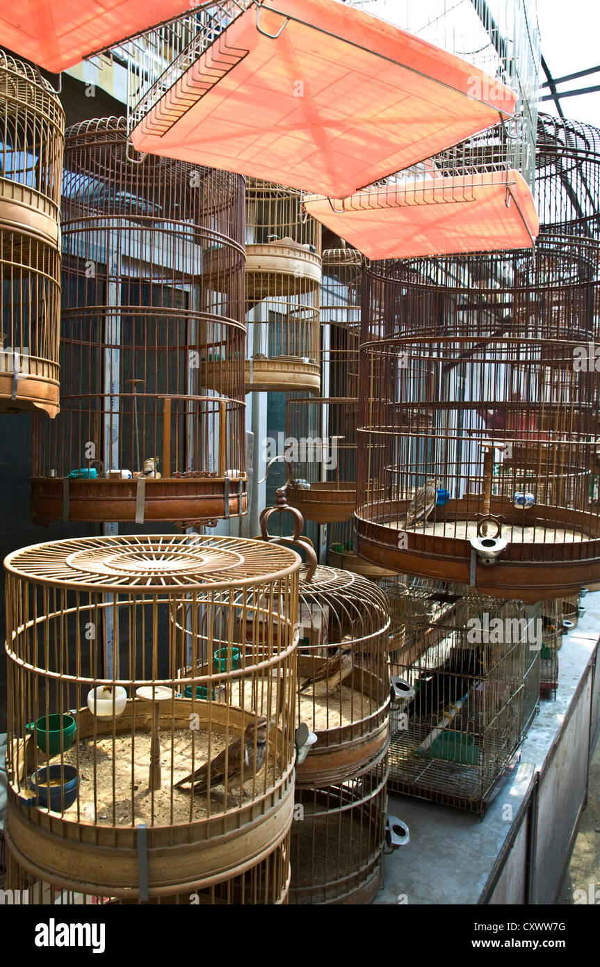 Les cages à oiseaux sur Super Bird & Marché Aux Fleurs - Shanghai, Chine Banque D'Images